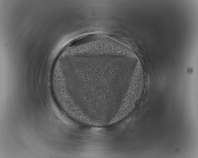 X0000113160055200909251403