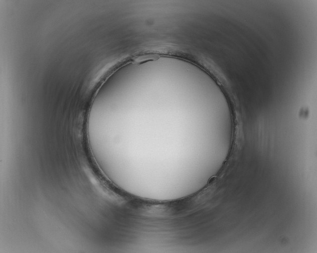 X0000113160058200909251403