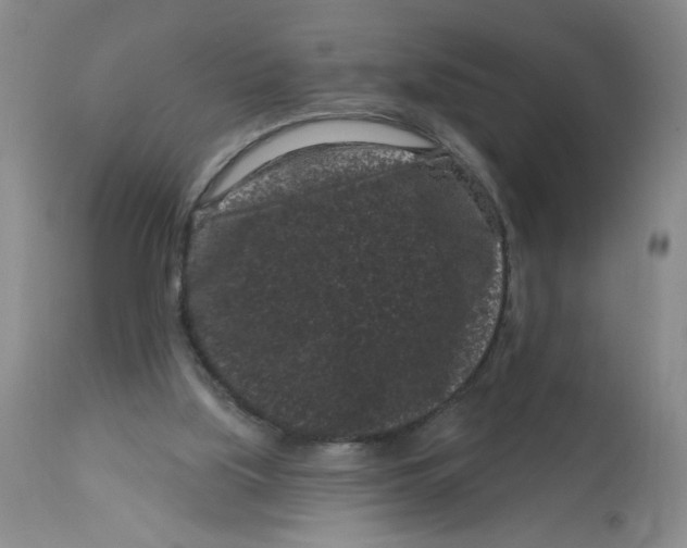 X0000113160059200909251403