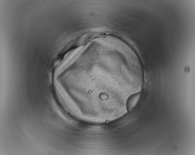 X0000113160061200909251403