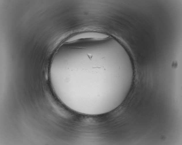 X0000113160062200909251403