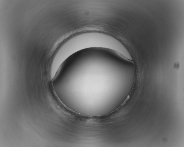 X0000113160064200909251403