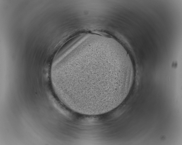 X0000113160065200909251403