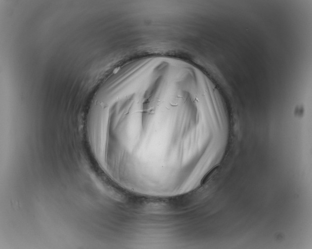 X0000113160066200909251403