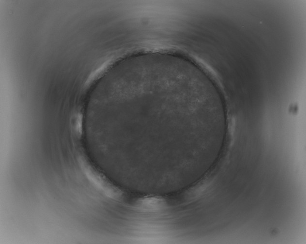 X0000113160067200909251403