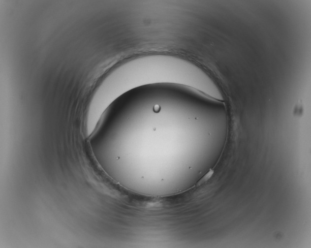 X0000113160068200909251403