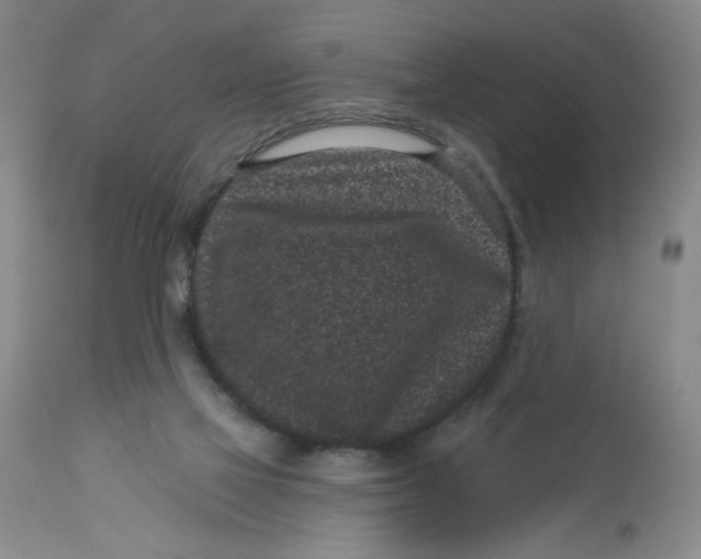 X0000113160069200909251403