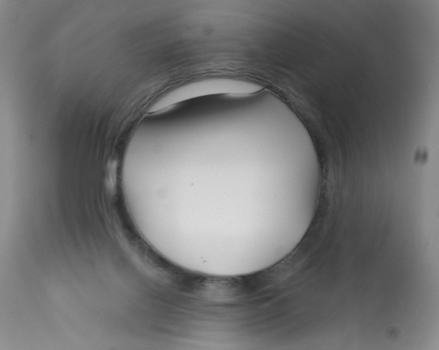 X0000113160070200909251403