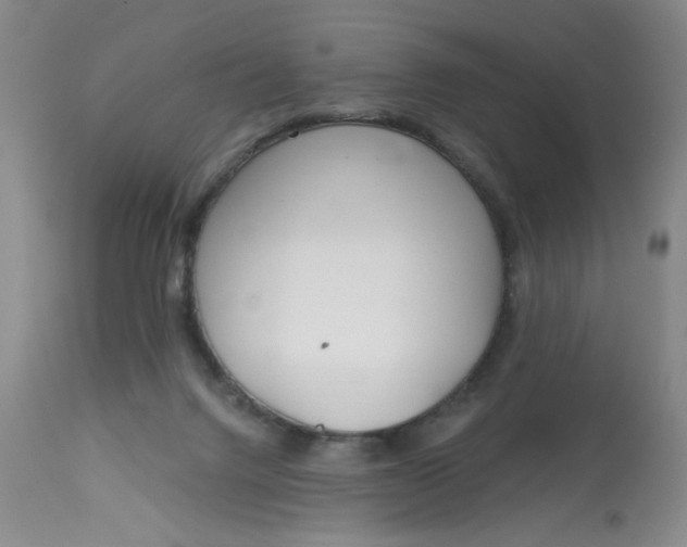 X0000113160072200909251403