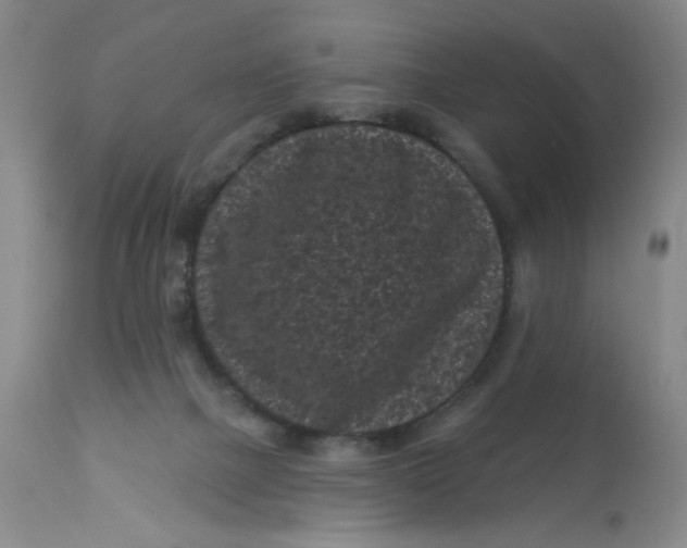 X0000113160073200909251403