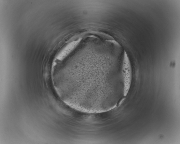 X0000113160074200909251403