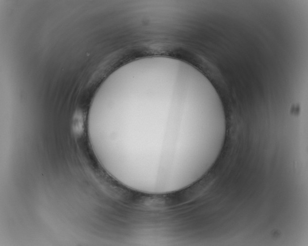 X0000113160075200909251403