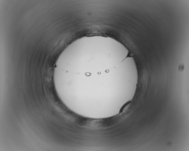 X0000113160078200909251403