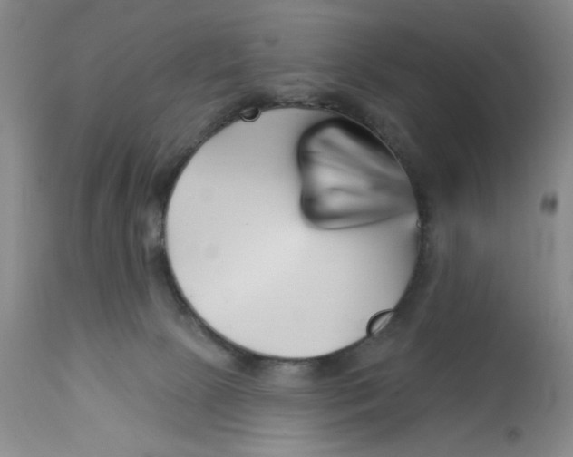 X0000113160081200909251403