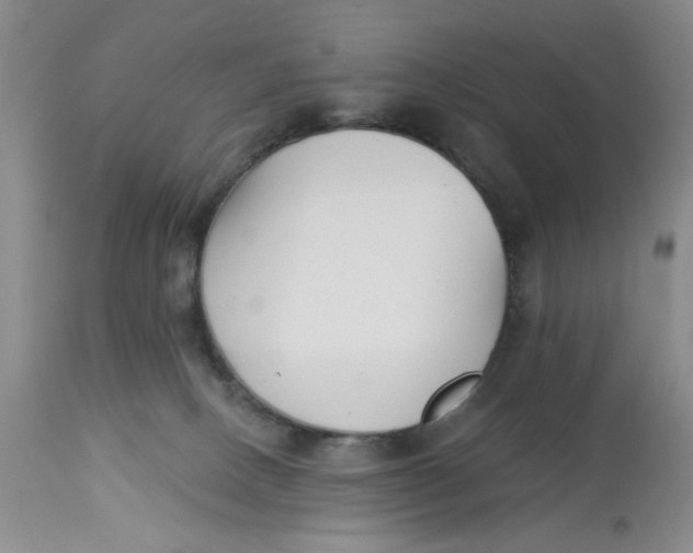 X0000113160082200909251403