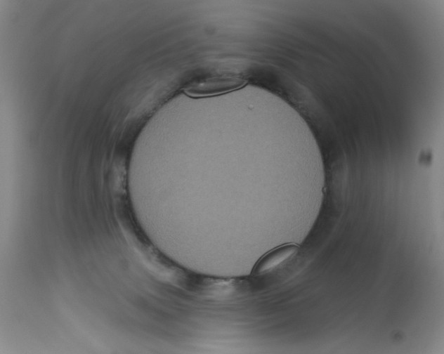 X0000113160083200909251403