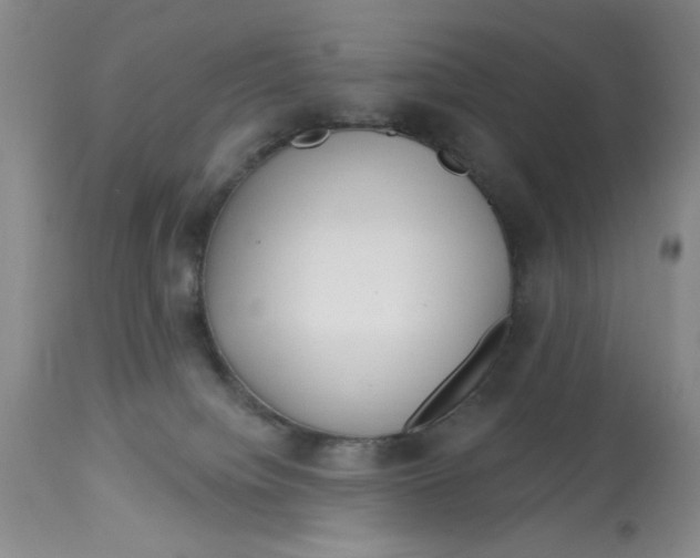 X0000113160084200909251403