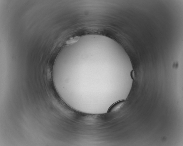 X0000113160086200909251403