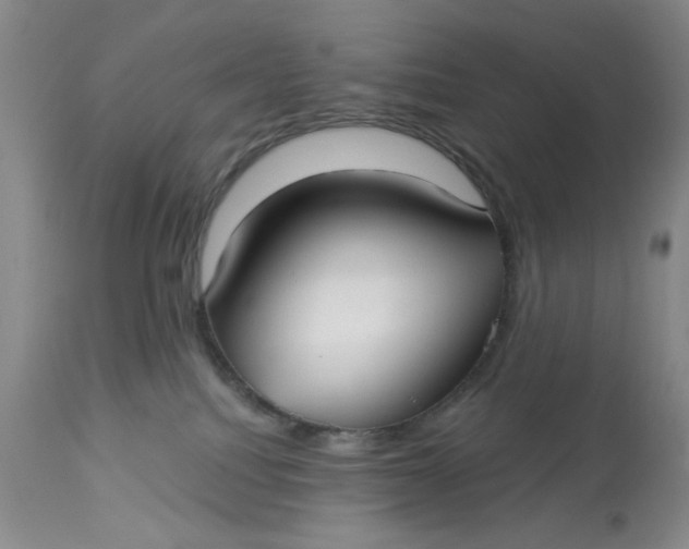 X0000113160088200909251403