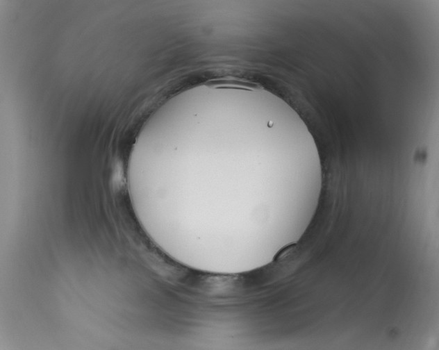 X0000113160089200909251403