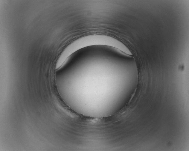 X0000113160092200909251404