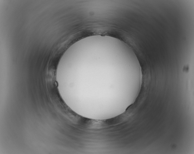 X0000113160093200909251404