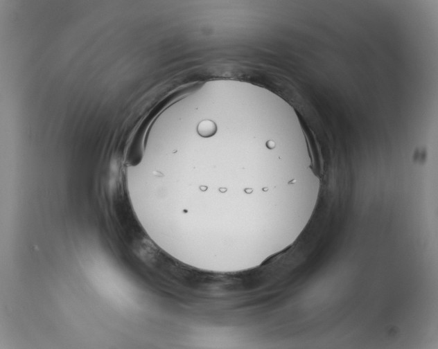 X0000113160095200909251404