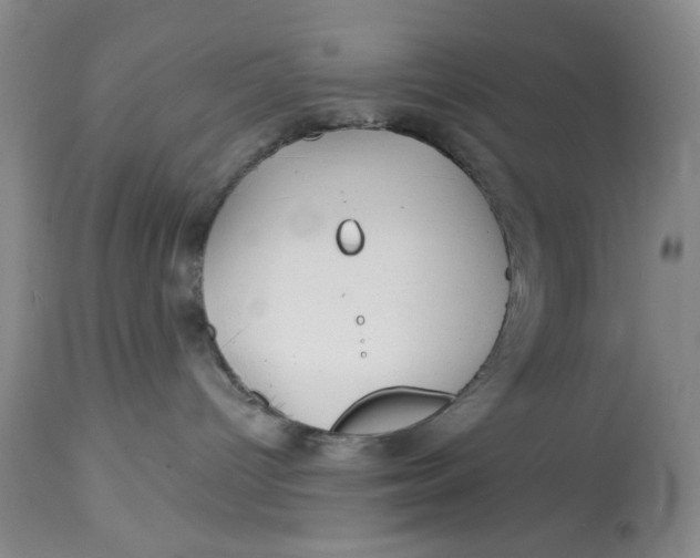 X0000113160096200909251404