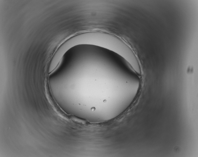 X0000113160097200909251403