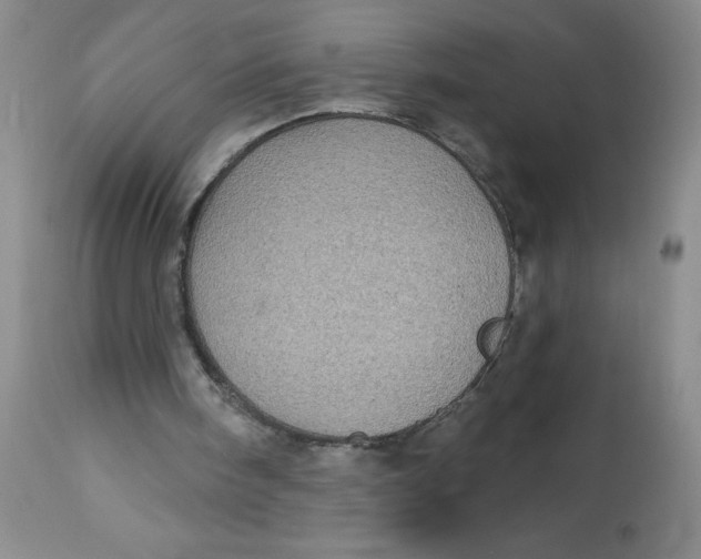 X0000113160098200909251403