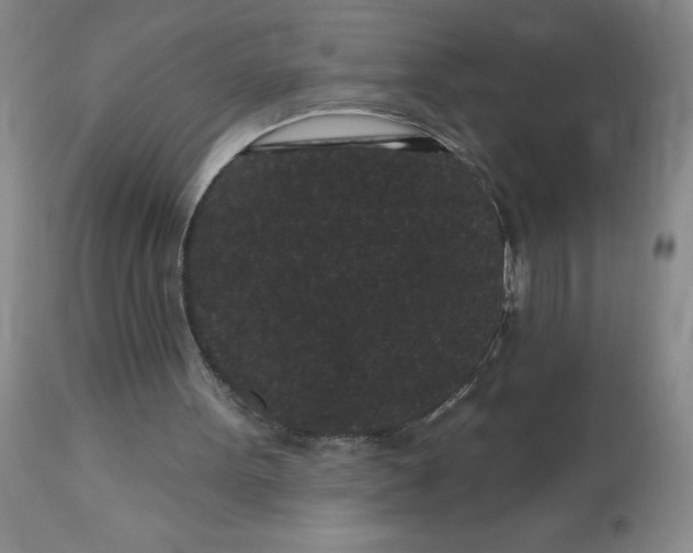 X0000113160099200909251403