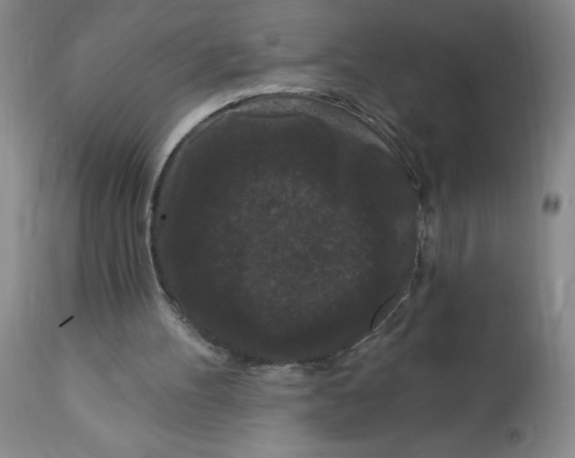 X0000113160100200909251403