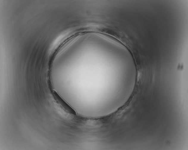 X0000113160101200909251403