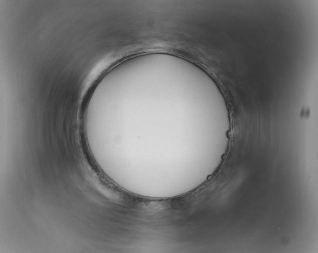 X0000113160102200909251403