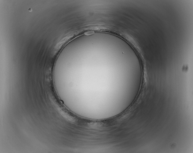 X0000113160105200909251403