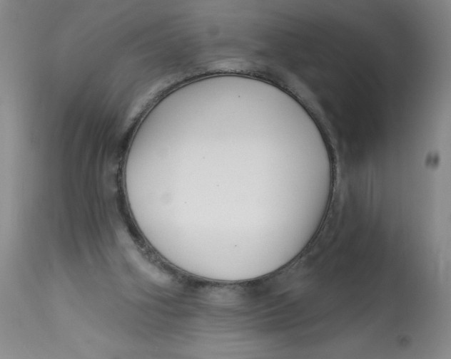 X0000113160106200909251403