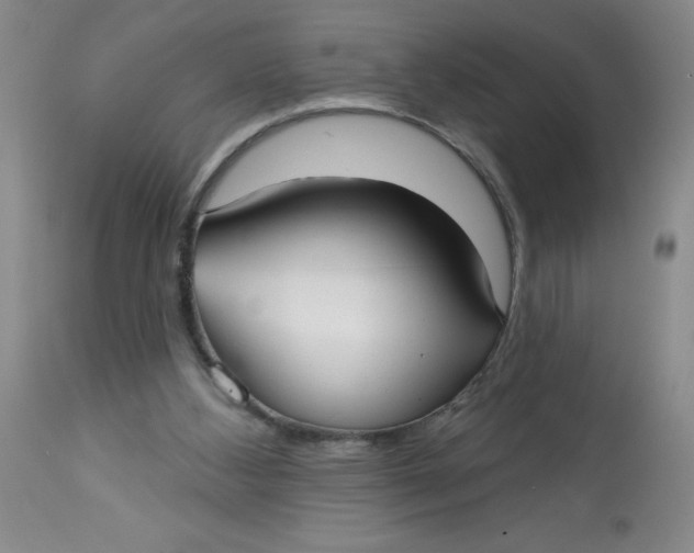 X0000113160108200909251403