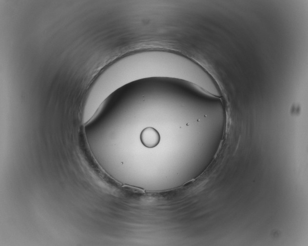 X0000113160109200909251403