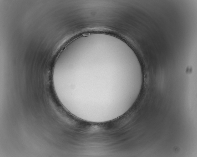 X0000113160111200909251403