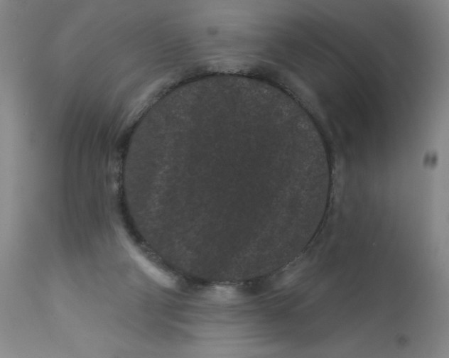 X0000113160114200909251403