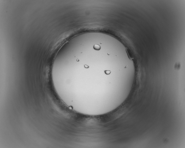 X0000113160115200909251403