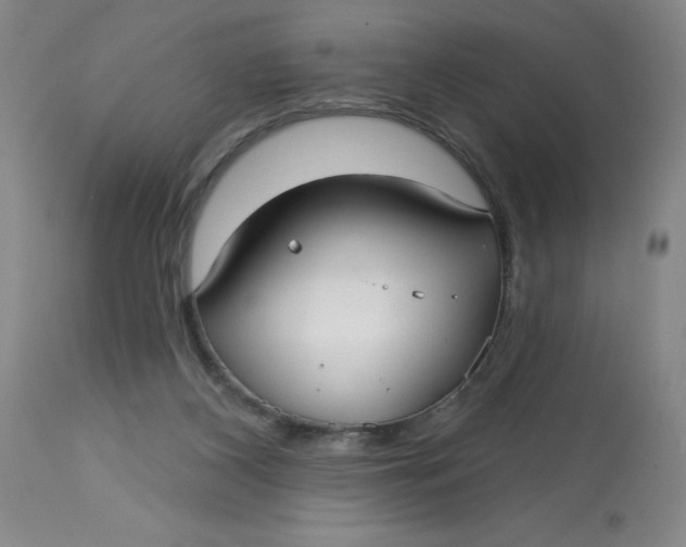 X0000113160116200909251403