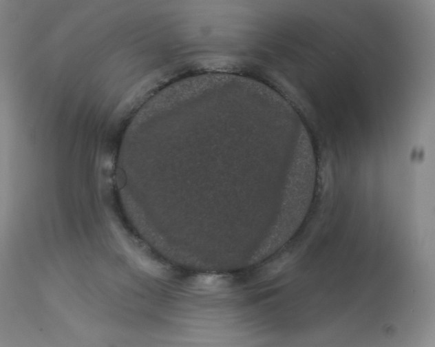 X0000113160117200909251403