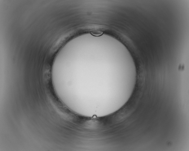 X0000113160119200909251403