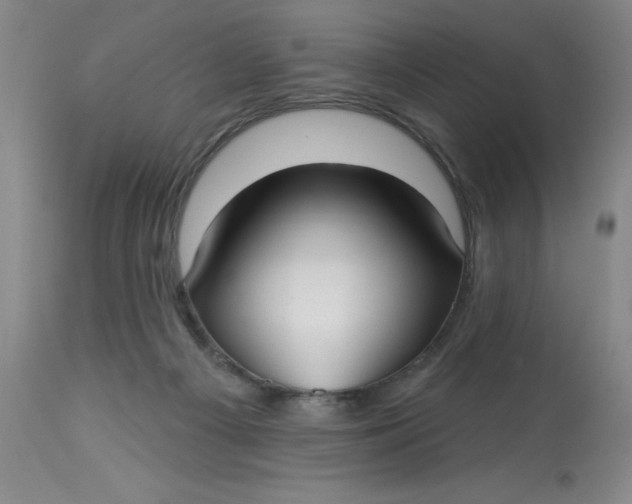 X0000113160121200909251402