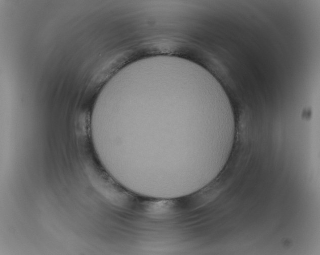 X0000113160122200909251402