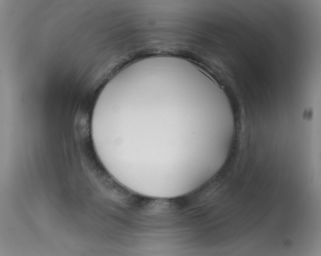 X0000113160123200909251402