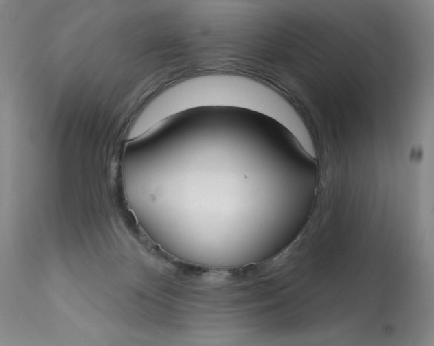 X0000113160124200909251402