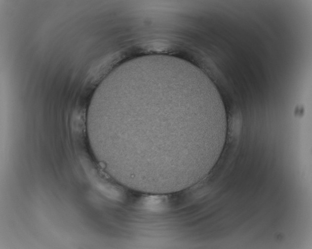 X0000113160126200909251402