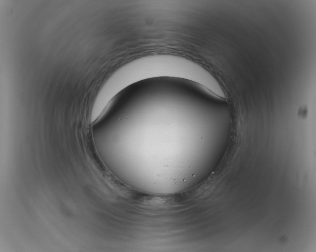 X0000113160129200909251402